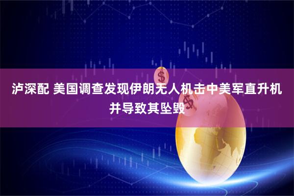 泸深配 美国调查发现伊朗无人机击中美军直升机并导致其坠毁