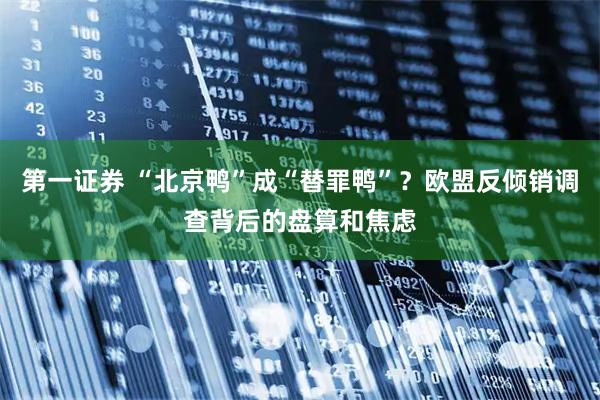 第一证券 “北京鸭”成“替罪鸭”？欧盟反倾销调查背后的盘算和焦虑